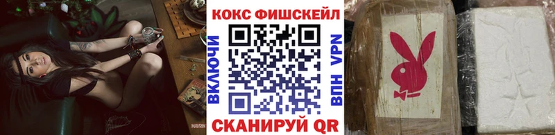 Cocaine Fish Scale  Купить  Курчатов 