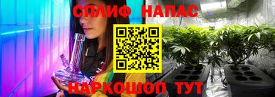 шишки Камышлов