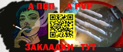 шишки Камышлов
