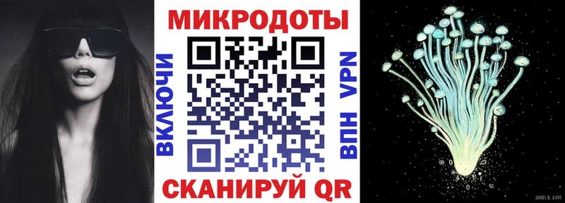 Купить  Курчатов  Галлюциногенные грибы GOLDEN TEACHER 