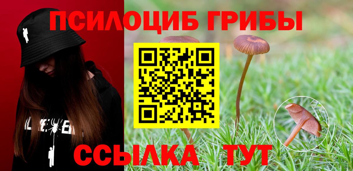 Курчатов  Псилоцибиновые грибы ЛСД  Вход с VPN  Псилоцибиновые грибы мухоморы 